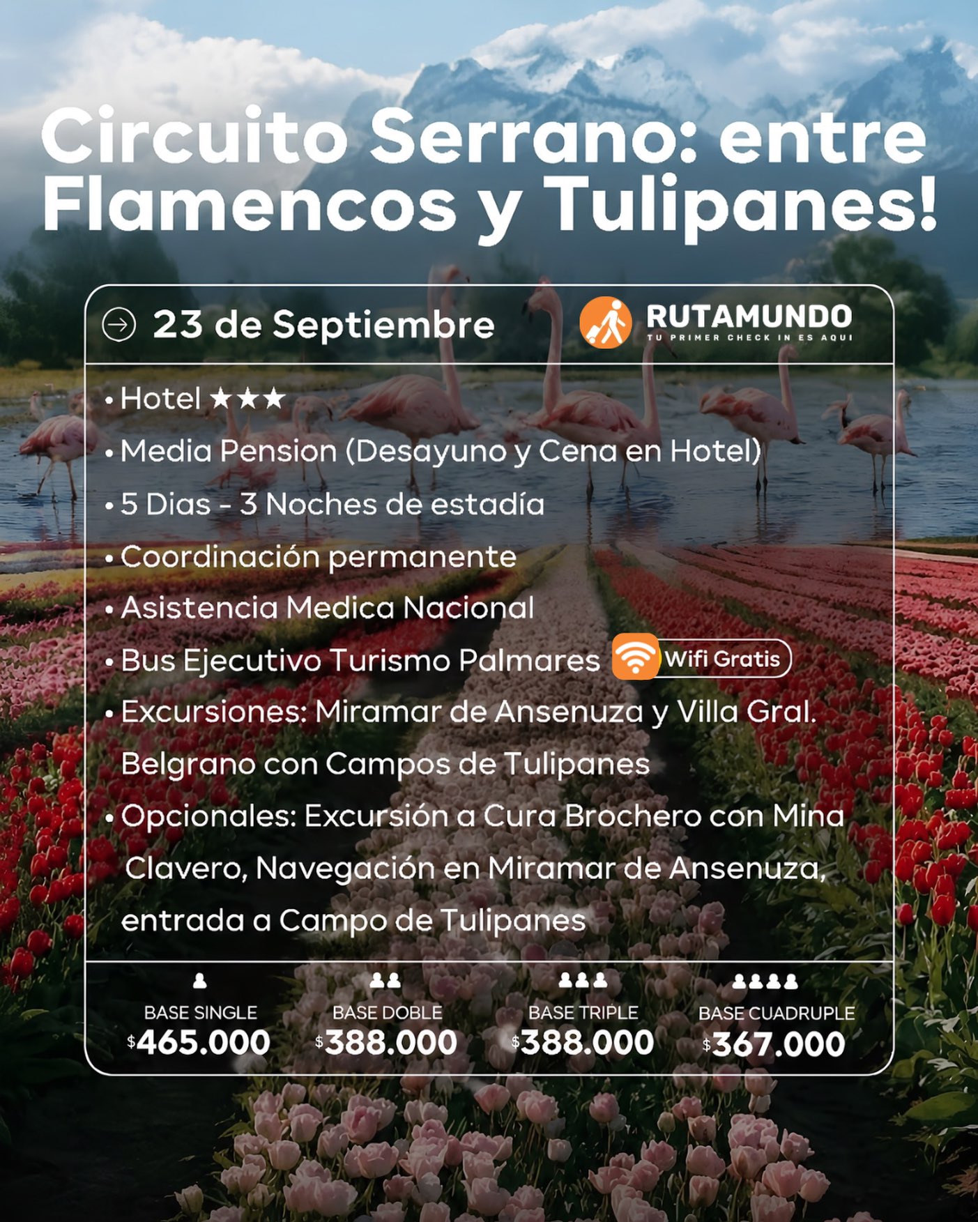 🌷✨ ¡NUEVA FECHA! ✨🌷

El Circuito Serrano: entre Flamencos y Tulipanes vuelve a RUTAMUNDO 🧡

📅 23 de septiembre
🚌 5 días / 3 noches
🌸 Miramar de Ansenuza + Villa General Belgrano y sus increíbles campos de tulipanes.

Una experiencia llena de paisajes, naturaleza y momentos inolvidables. 🌷🦩

📲3456 622-308
¡Reservá tu lugar y viví esta aventura con RUTAMUNDO!
Tu primer Check in es aquí. ✈️